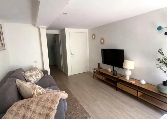 Nid Chic Et Cosy Au Coeur De Avec Jardin Daire Nancy